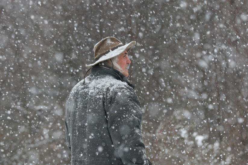 Michael Runtz looks out for birds along his trail behind his home in Seeley's Bay, Ont., on Friday Dec. 22, 2017. Lars Hagberg for the Globe and Mail