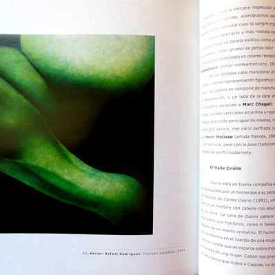Museo de Arte de Caguas Exhibition Catalogue