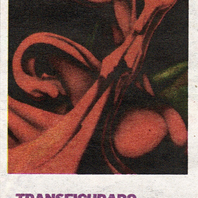 Press release of solo exhibition Transfigurado.