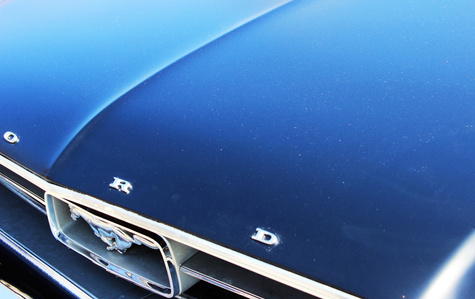 Mustang car show. Blue front hood. Blue Mustang.