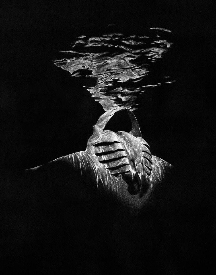 Marine life drawing of a Manta ray reflected at the surface
