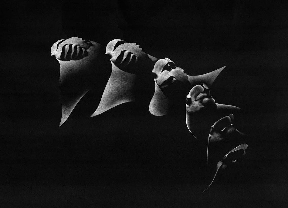 Marine life drawing of Manta rays barrelling 