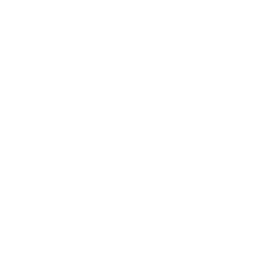 Guillermo Viera's Portfolio