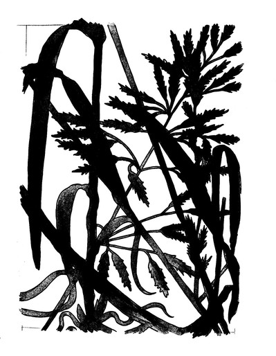 La Pilule Daphne Geisler