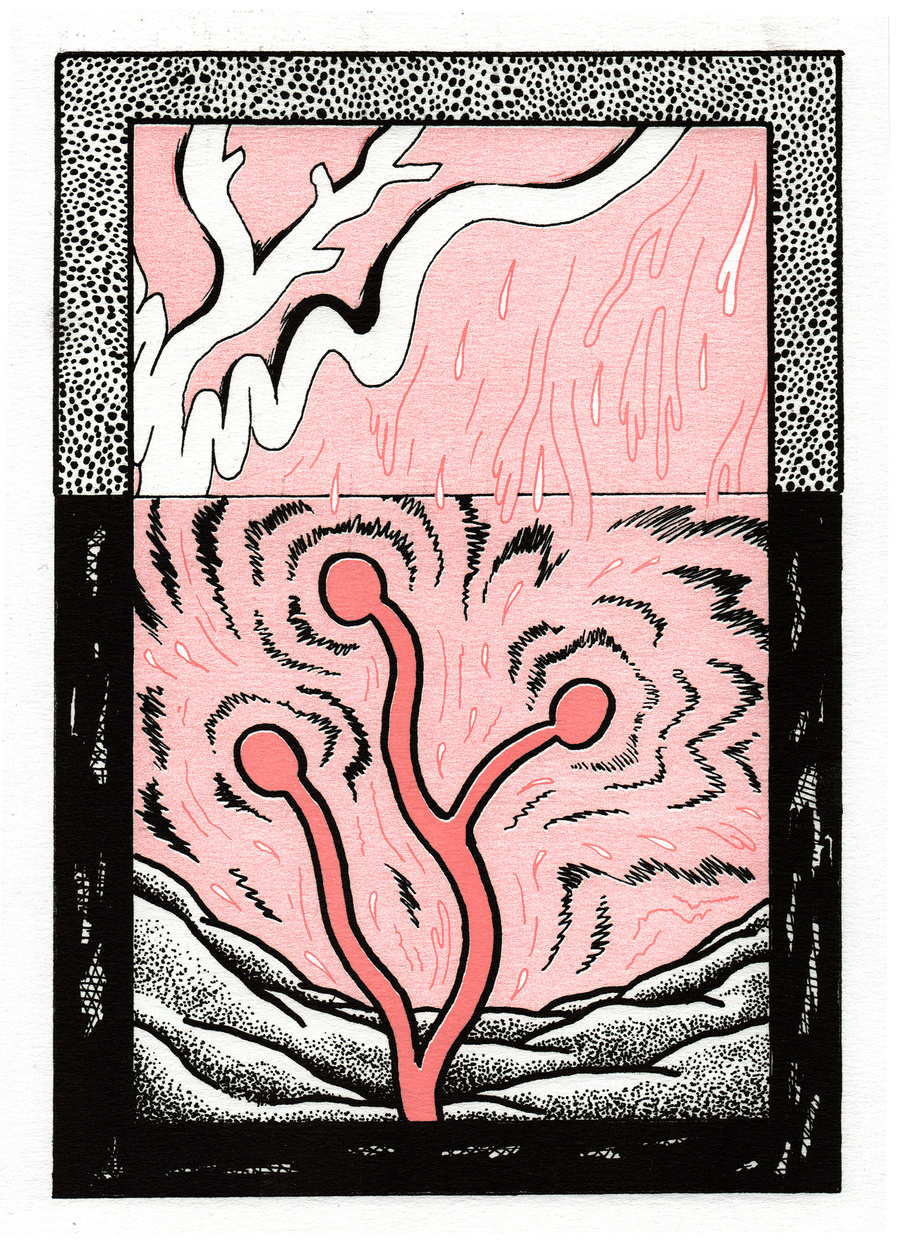 illustration Daphne Geisler 