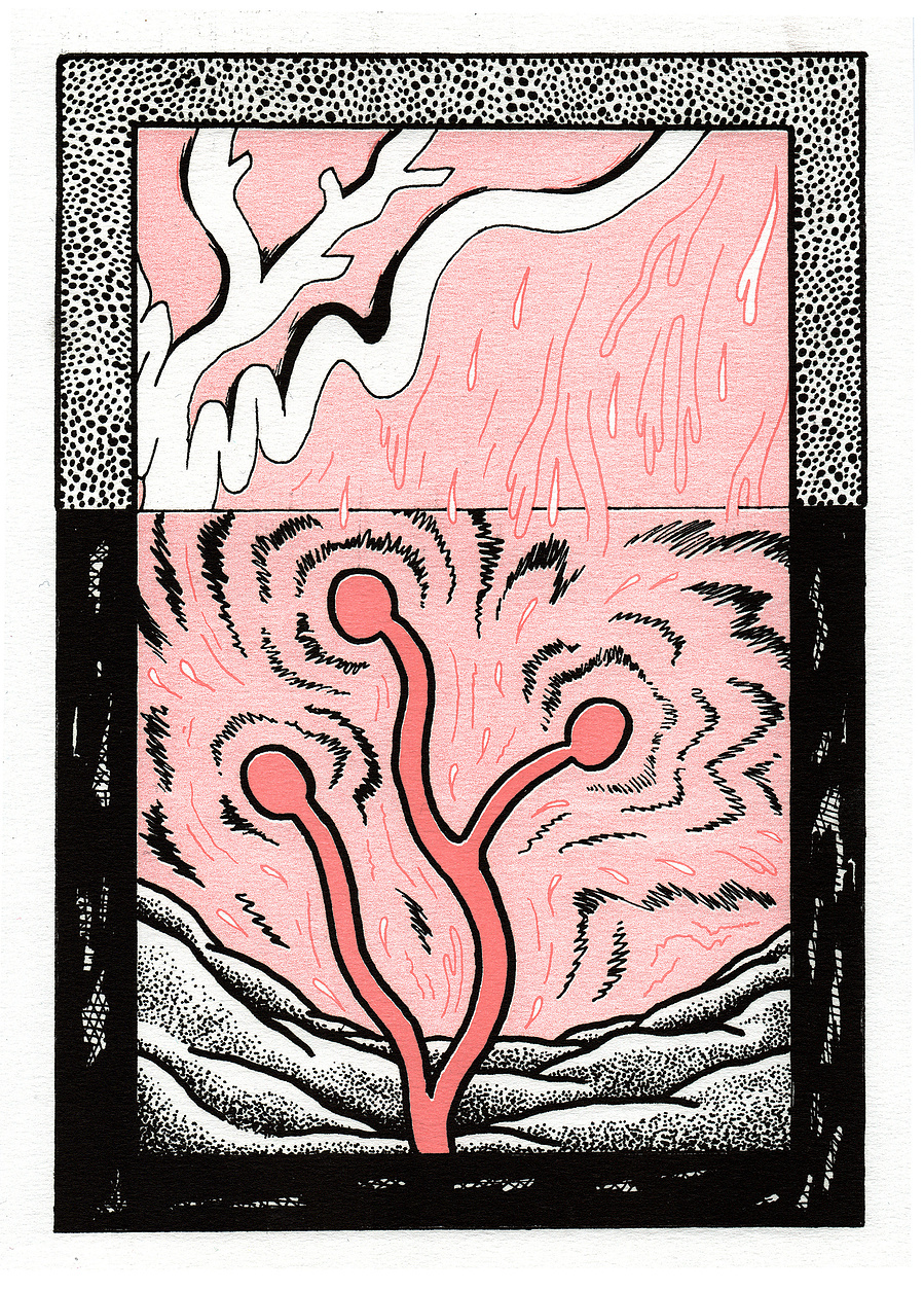 illustration Daphne Geisler 