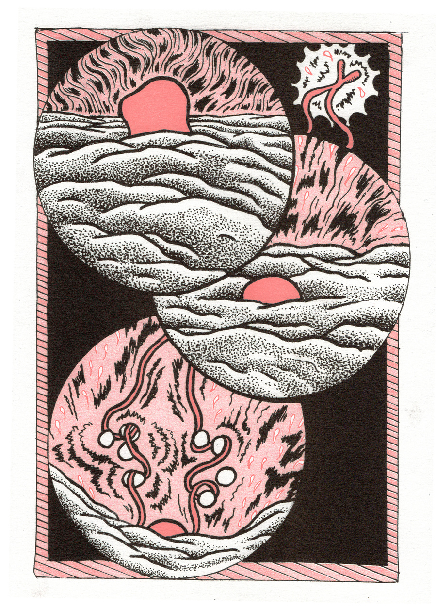 illustration Daphne Geisler 