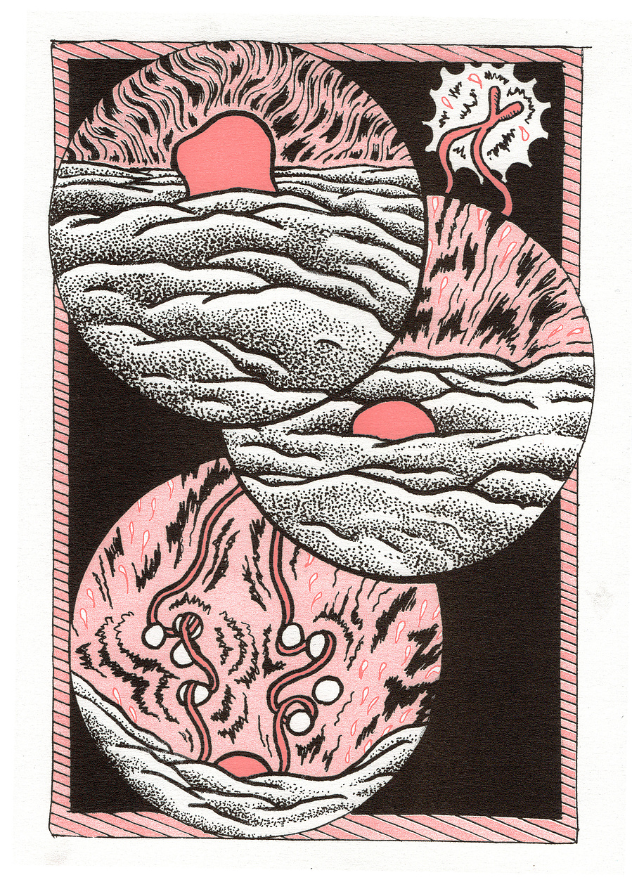 illustration Daphne Geisler 