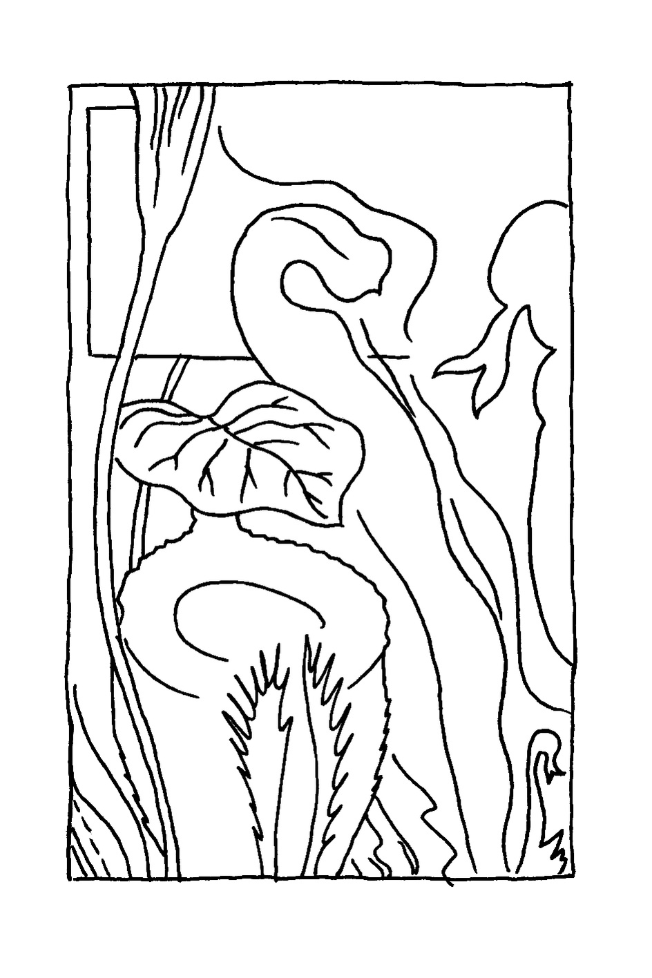 Spicilege Naturaliste Daphne Geisler