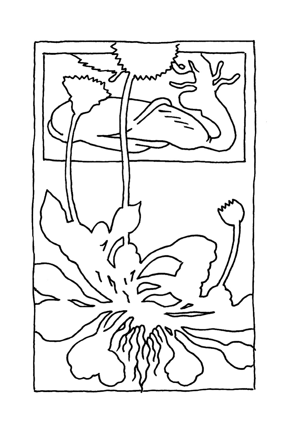 Spicilege Naturaliste Daphne Geisler