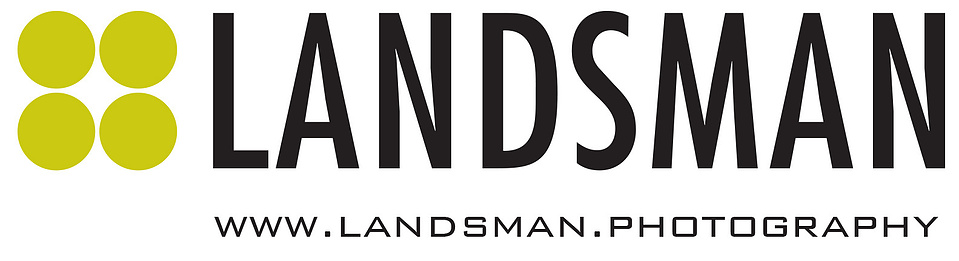 Gary Landsman's Portfolio
