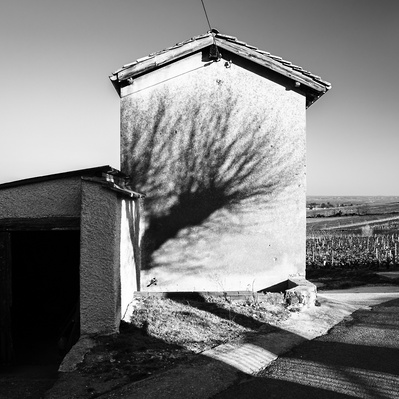 ombre d'arbre sur la facade d'une maison à la campagne