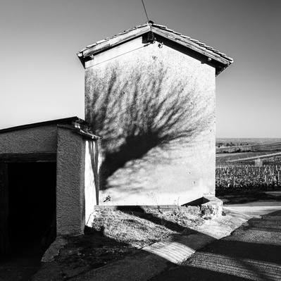 ombre d'arbre sur la facade d'une maison à la campagne