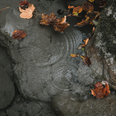 surface d'un ruisseau en automne pendant la pluie