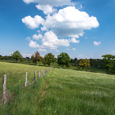 pré ensoleillé avec de grands nuages