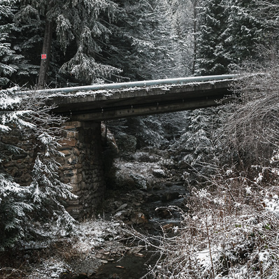 pont au milieu de la foret avec de la neige