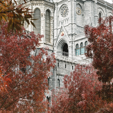 cathédrale Lourdes couleur automne magnifique