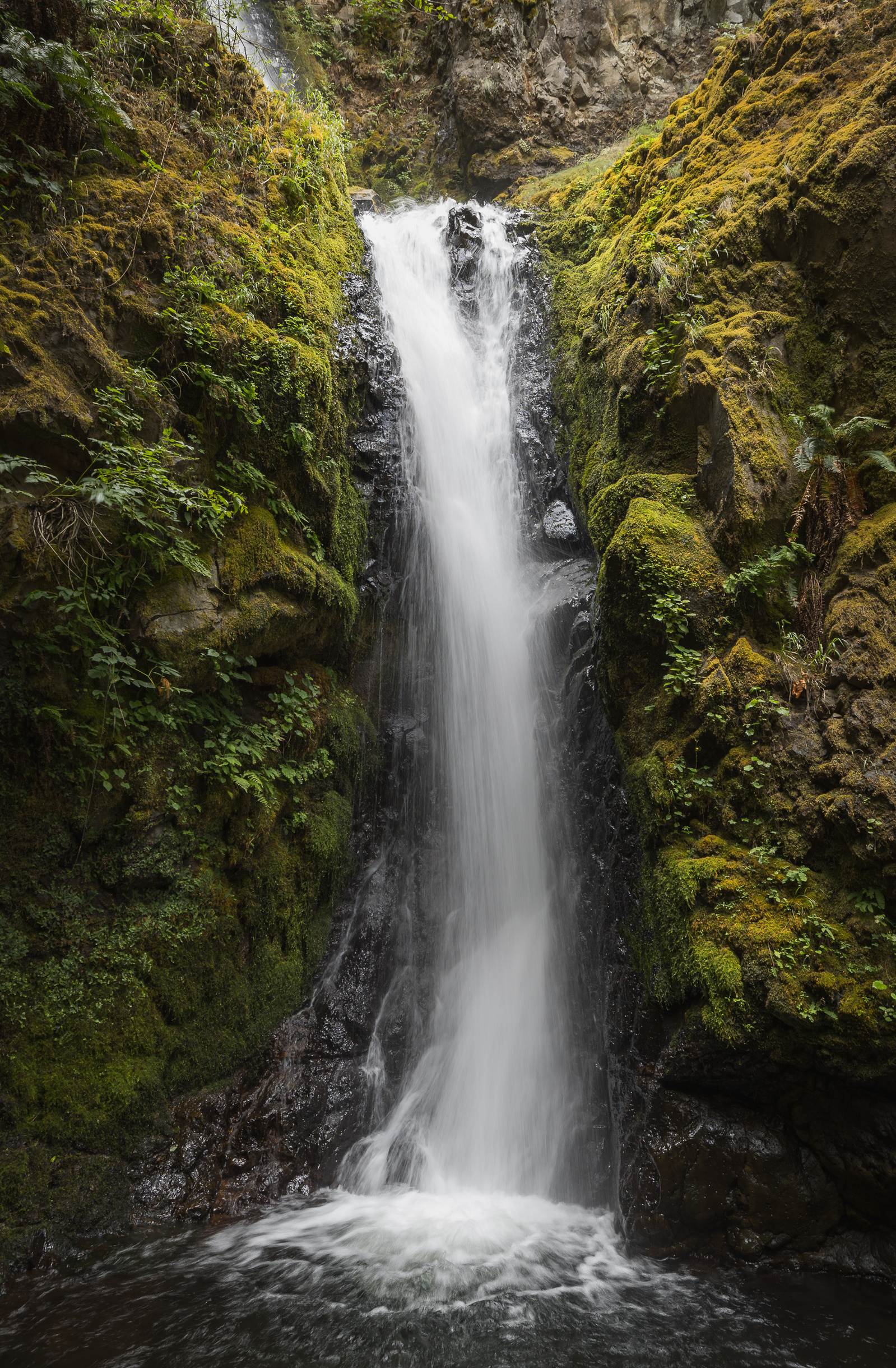 Tall, narrow waterfall cascading down moss-covered rock walls into a clear pool in a forested gorge in Oregon.
