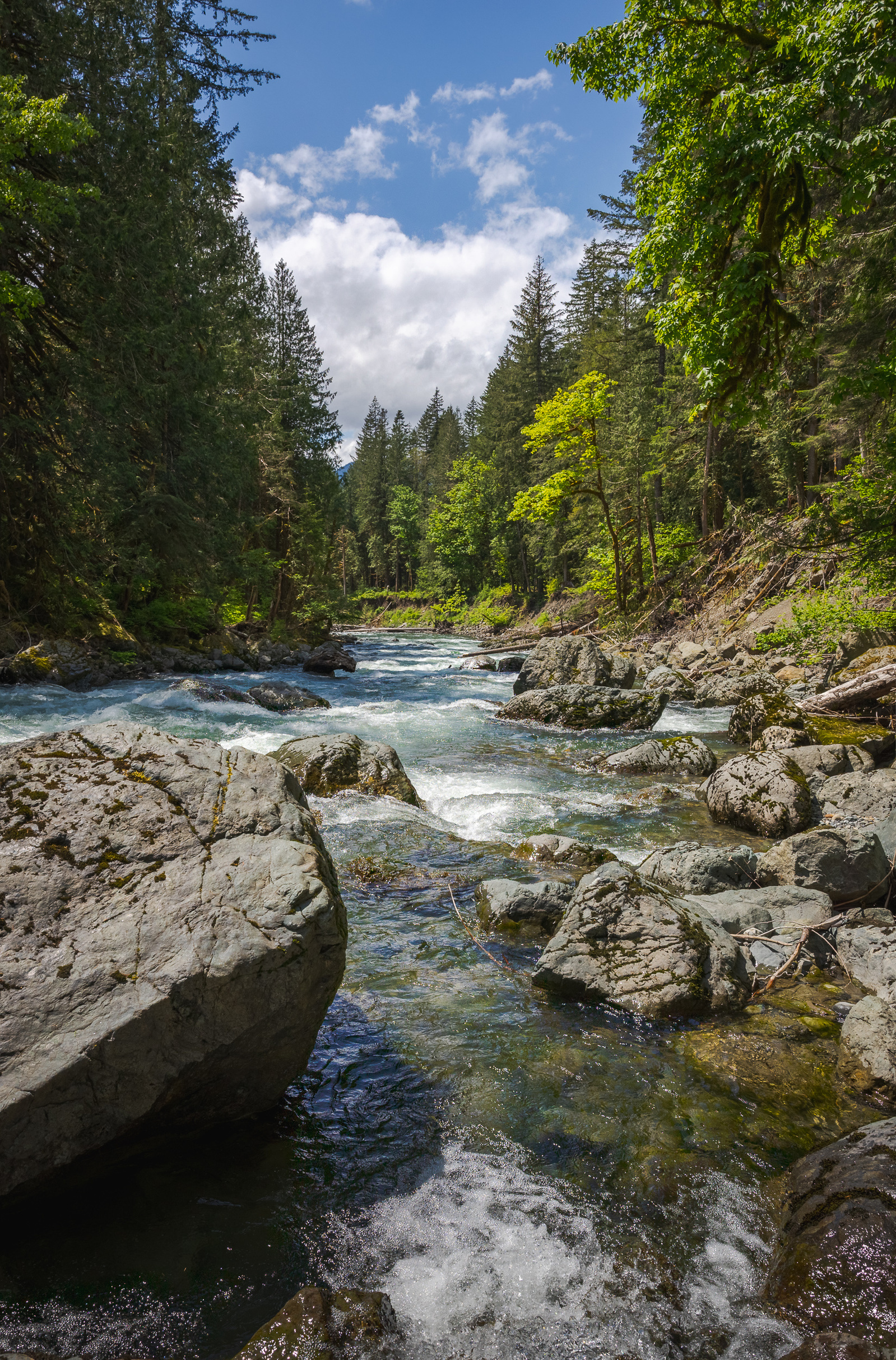 Mountain river flowing through a rocky forested valley in Washington state, with clear water, moss-covered boulders, and sunlit evergreen trees under a partly cloudy sky.