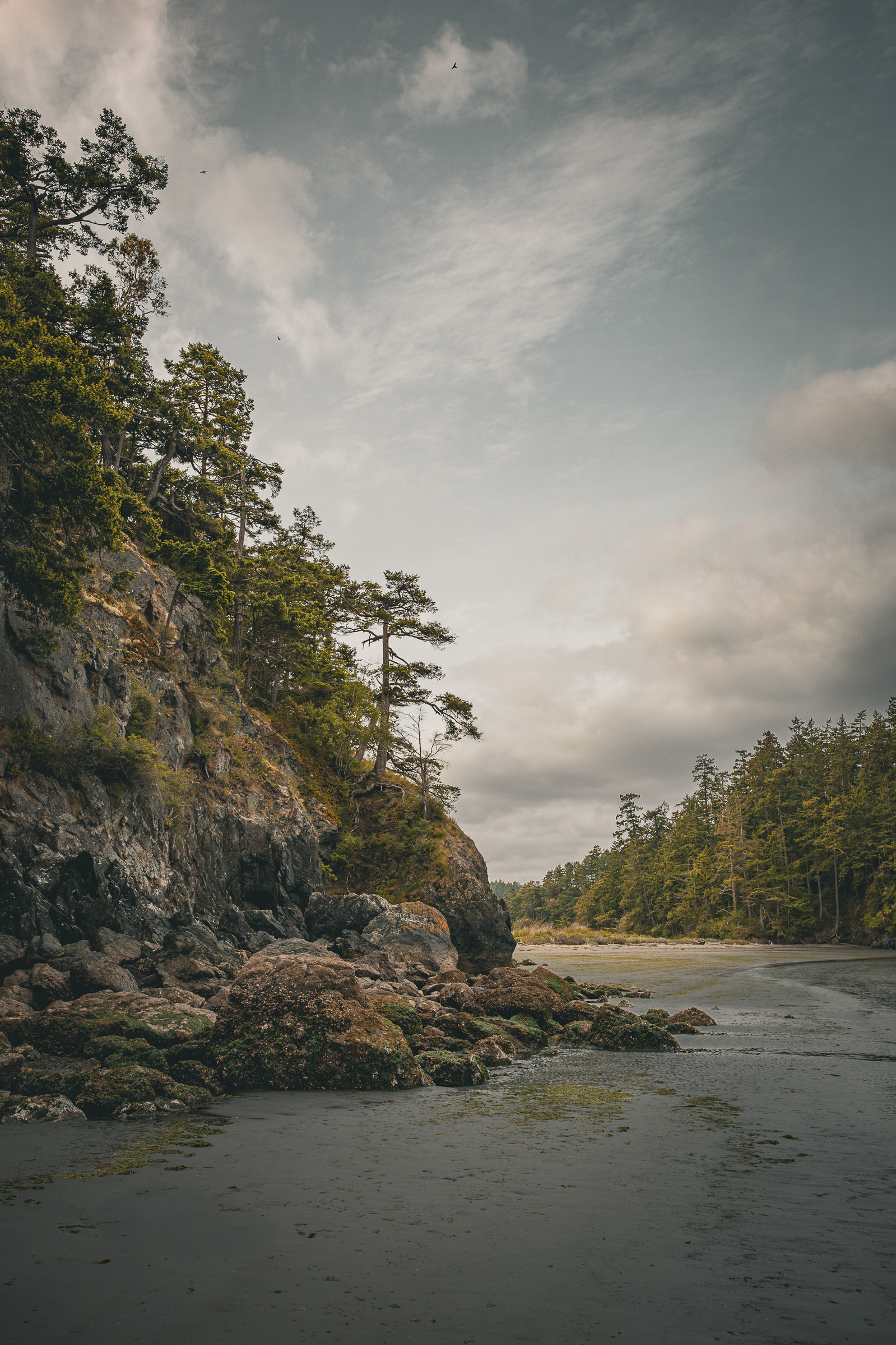 Rocky shoreline at low tide on Fidalgo Island, Washington, with evergreen trees on coastal cliffs and a cloudy sky over calm tidal waters.