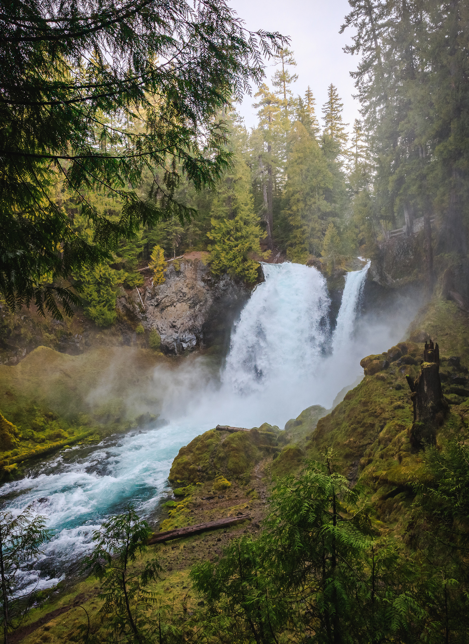 Powerful waterfall cascading over mossy basalt rocks into a turquoise river, surrounded by dense evergreen forest at Sahalie Falls in Oregon.