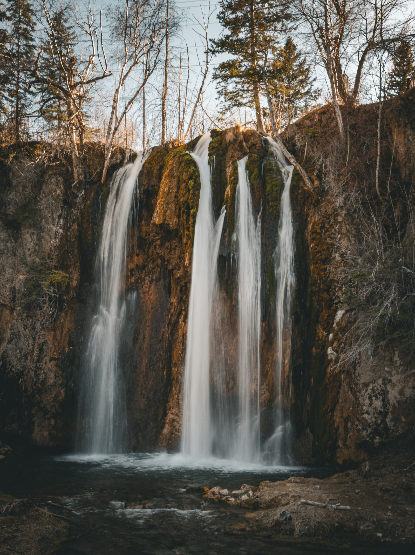 Spearfish Falls cascades over a mossy cliff in multiple narrow streams, framed by bare trees and evergreens in early spring.