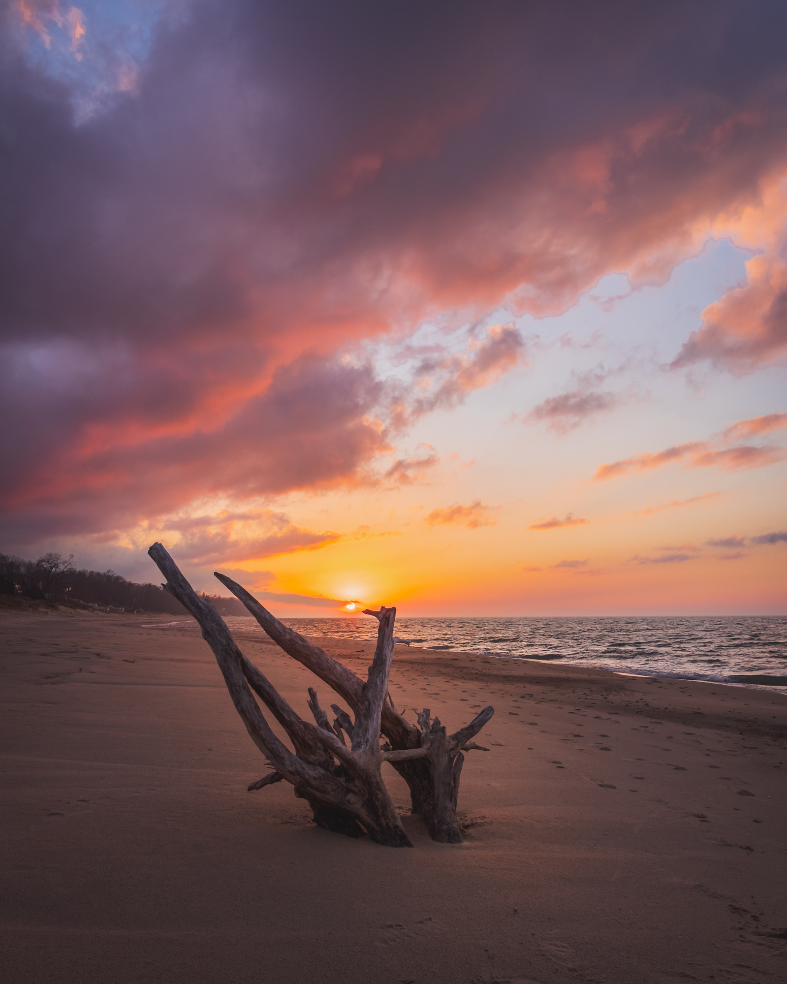 Sunset over Lake Michigan with driftwood in the foreground on a sandy beach under a colorful sky with purple and orange clouds.