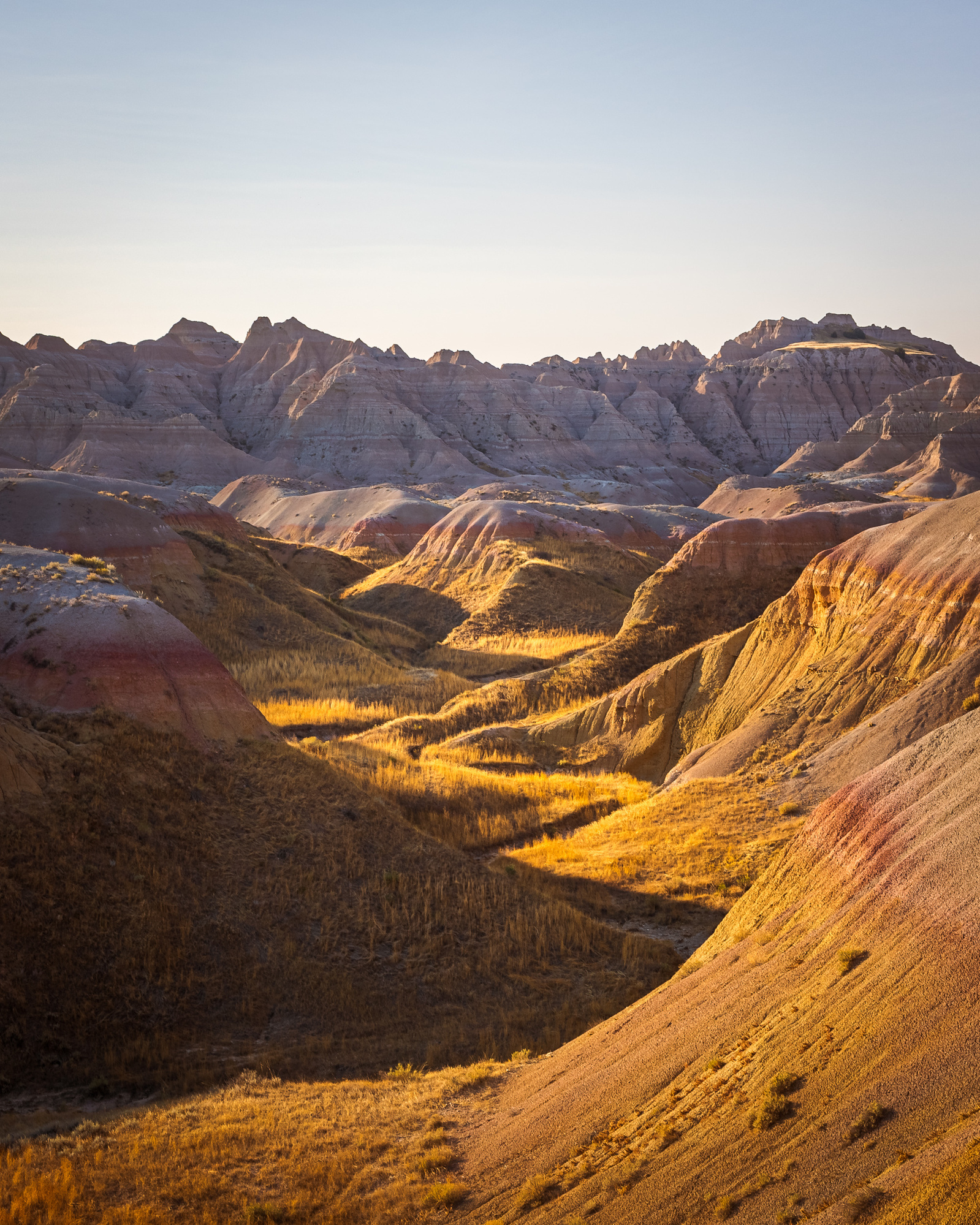 Sunlight casts warm tones across layered hills and eroded formations in Badlands National Park, with yellow prairie grasses lining the valleys.