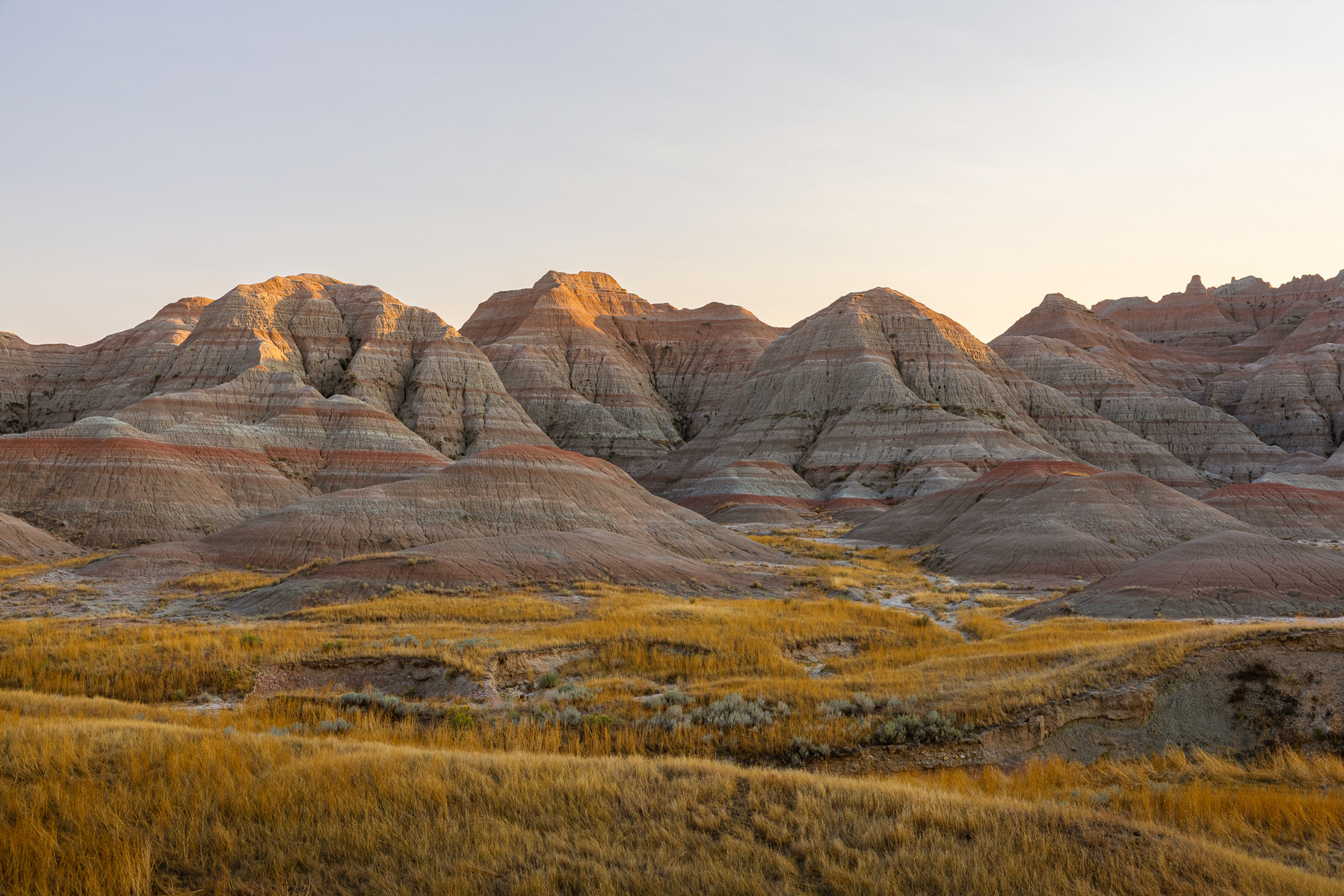 Layered rock formations in Badlands National Park lit by early morning sunlight, with golden prairie grasses in the foreground.