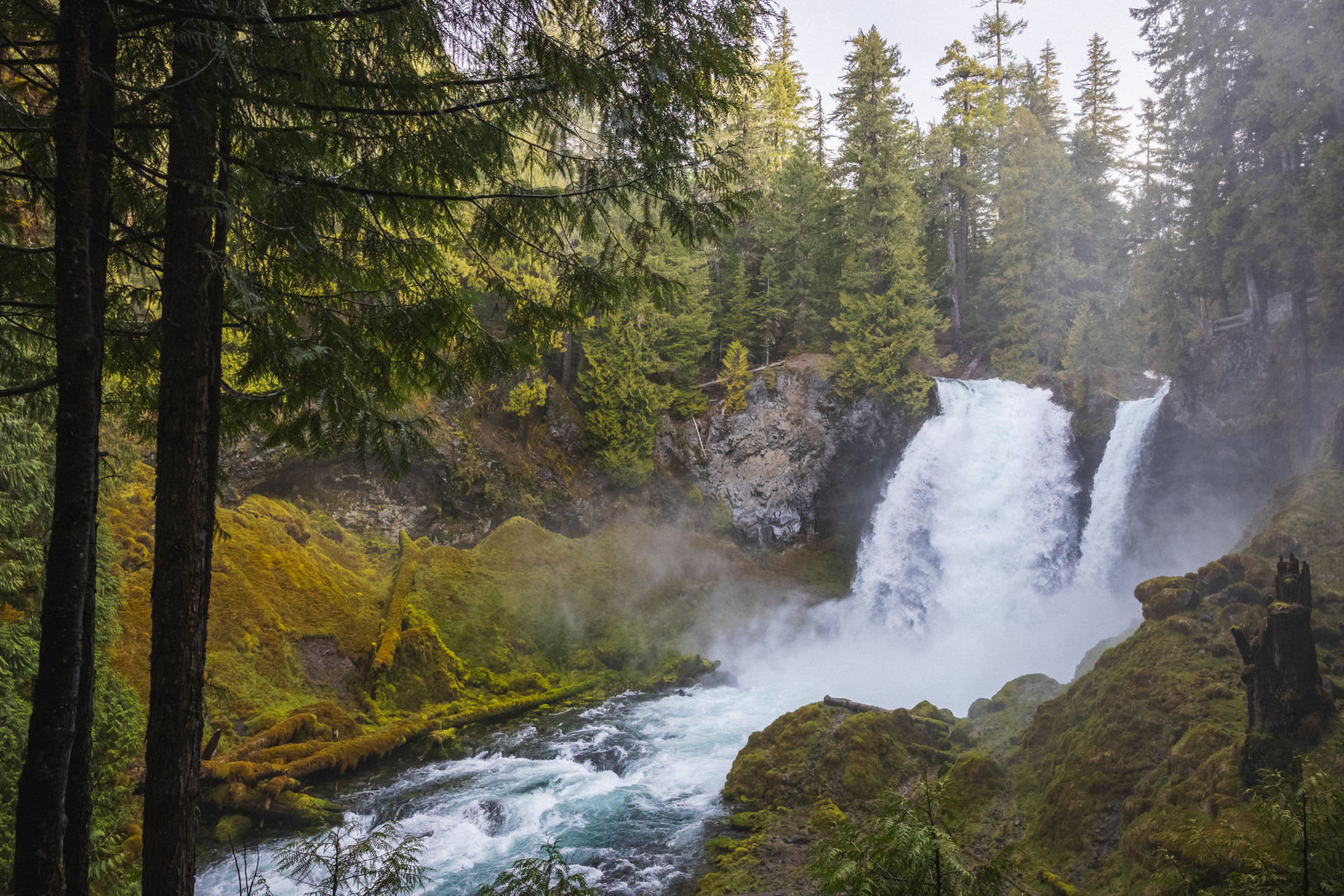 Wide view of Sahalie Falls in Oregon, with water plunging into a misty, moss-covered canyon surrounded by dense evergreen forest.