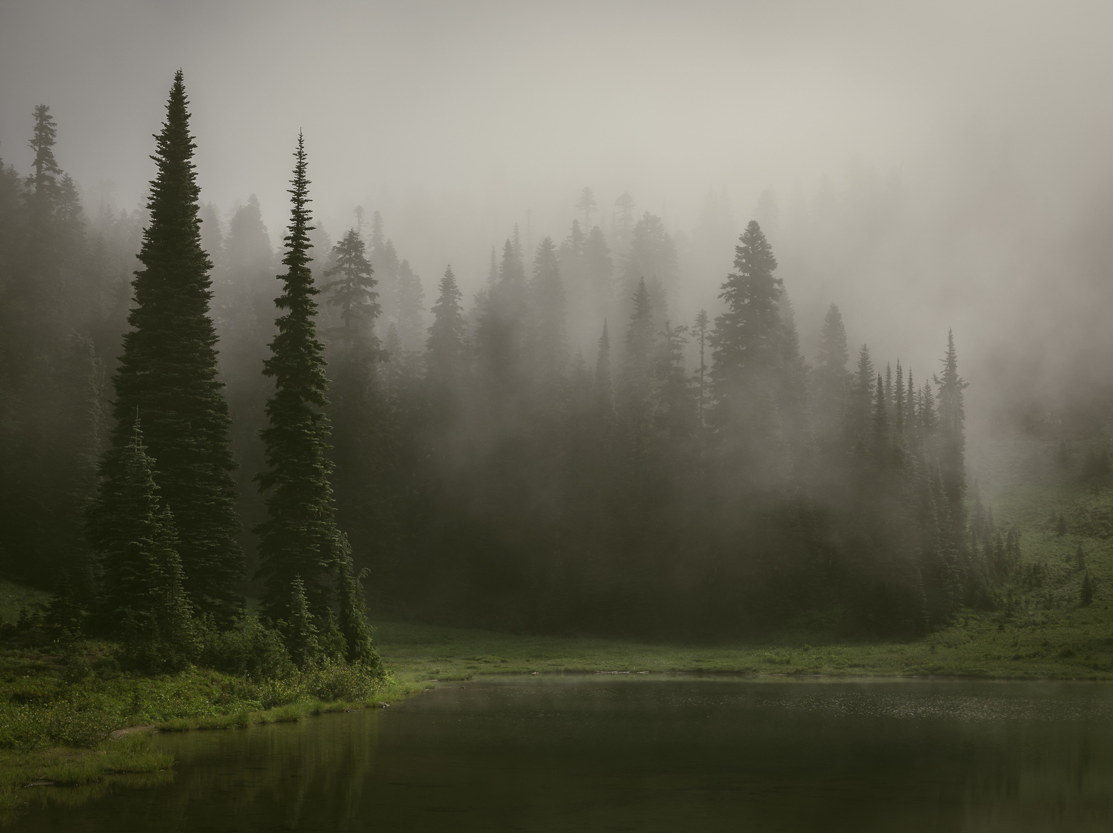 Fog drifts through tall evergreen trees beside a calm lake in Mount Rainier National Park, with dense forest and soft morning light.