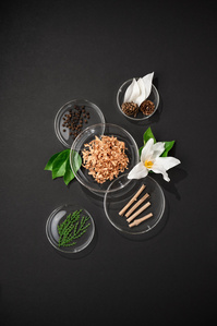Life Long Deo X Scott Uzoho -- product still-life photography of flavour scent profile in petridish glass ware on black background flatlay