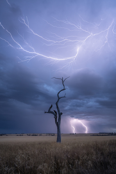 Lightning strikes in a paddock near Quairading, Western Australia.