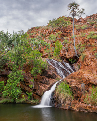Cascading waterfalls at a palm-lined water hole.