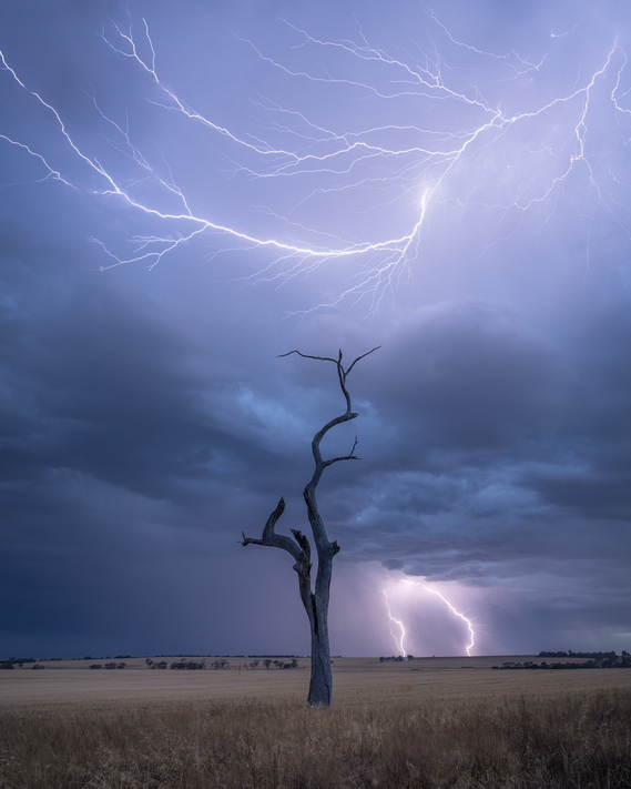 A lone tree with lightning strikes above & below.