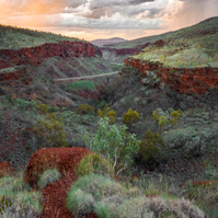 Spinifex covered hillsides line the edge of Munjina Gorge.