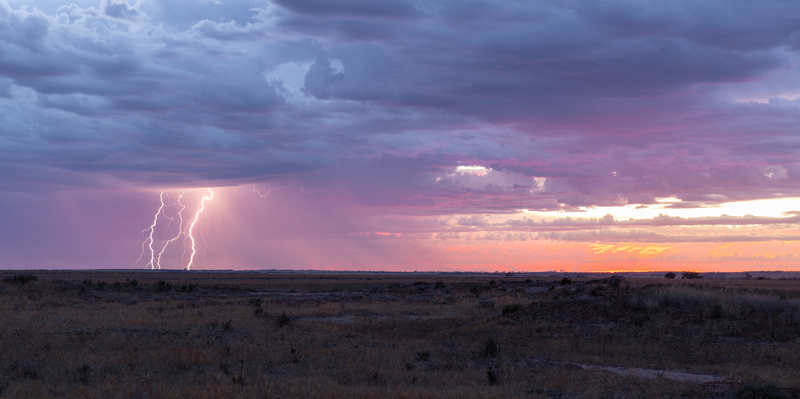 Lightning strikes in a field at sunrise.