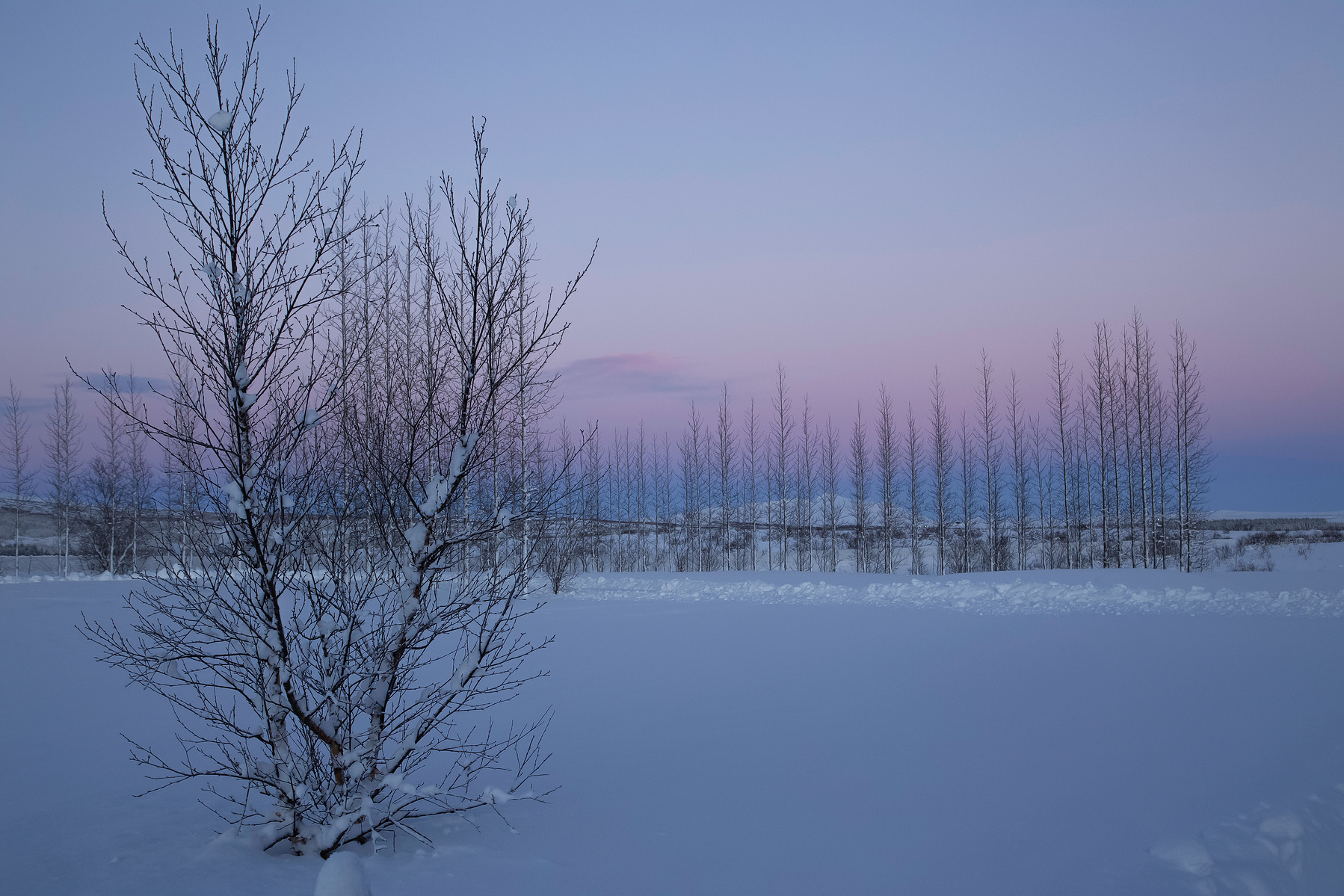 Sunset at Geysir Iceland with the snow reflecting the blue tones of the winter sky and the cloud is bathed in the pink light from the sun for a few brief magical moments.