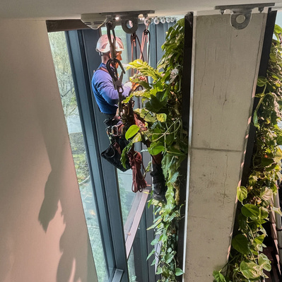 Arbeiter mit Seil befestigt Sekundanten im Gebäude. Er hängt an der Decke.