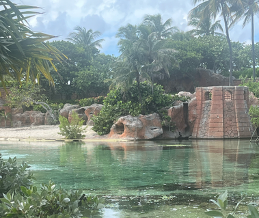 An image of a body of water surrounded by palm trees, coral-colored structures, and rocks, with sand and a clear blue sky on a sunny day.