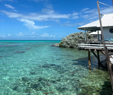 An image of calm, still blue water during the day, overlooking the vast ocean.