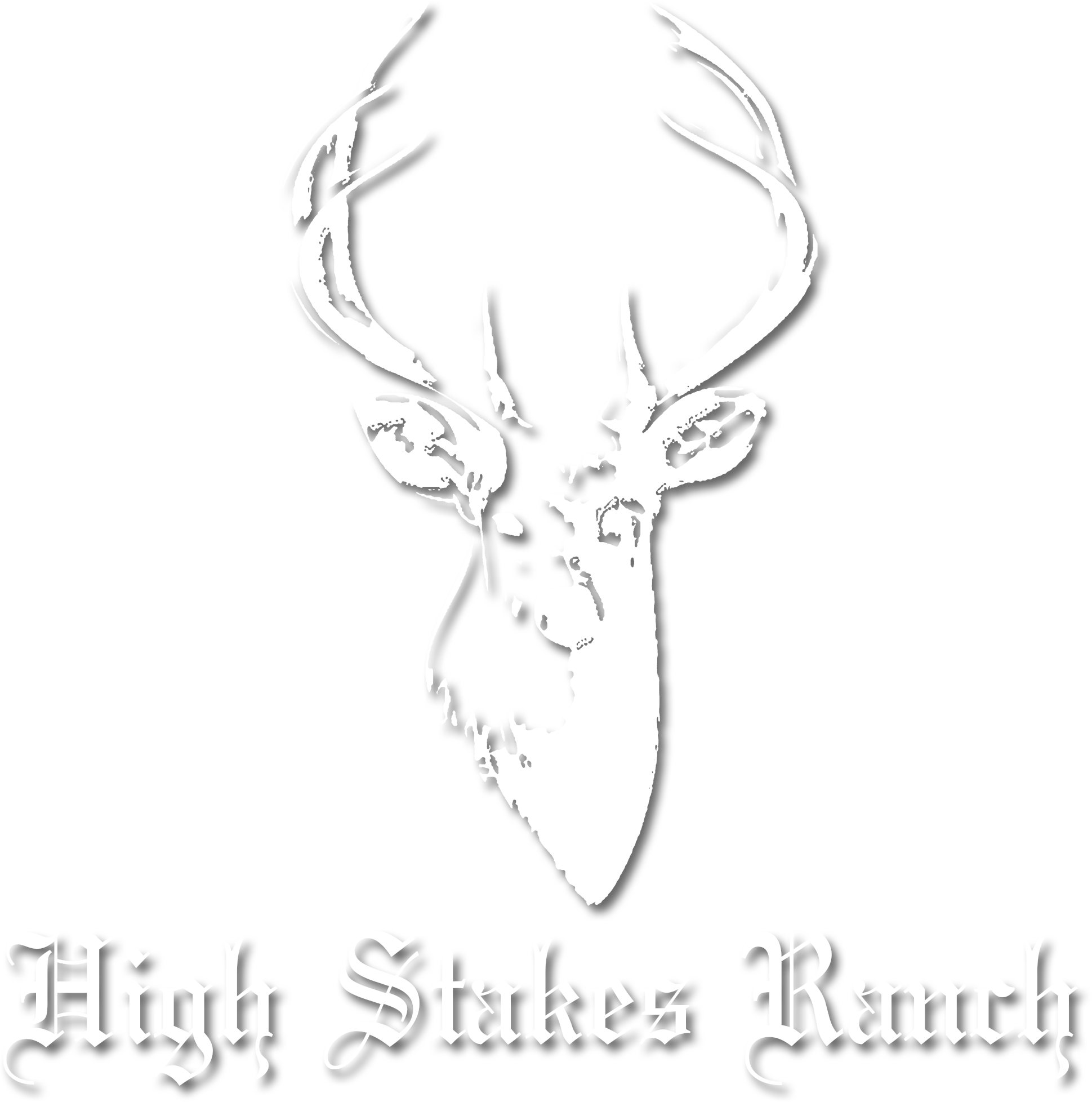 High Stakes Ranch