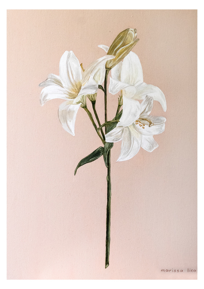 'Fiori' wall art print Australia. Italian print of white lily flower for nursery, a print with free shipping, by Australian artist Marissa Lico.