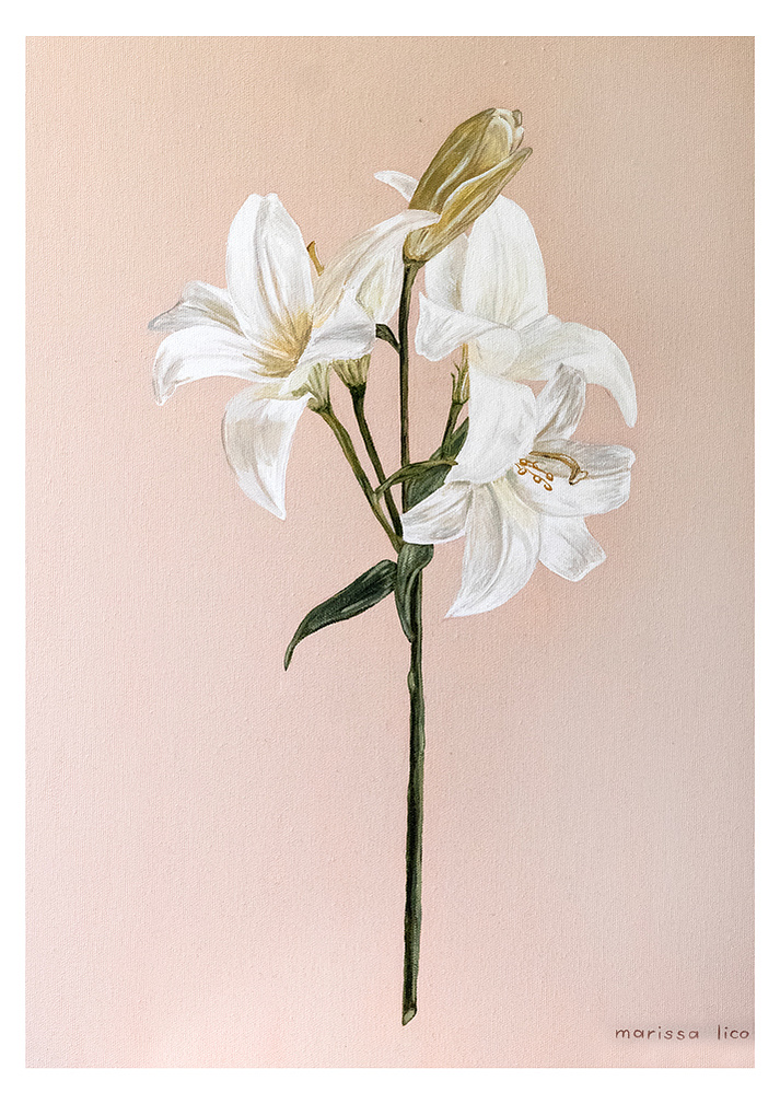 'Fiori' wall art print Australia. Italian print of white lily flower for nursery, a print with free shipping, by Australian artist Marissa Lico.