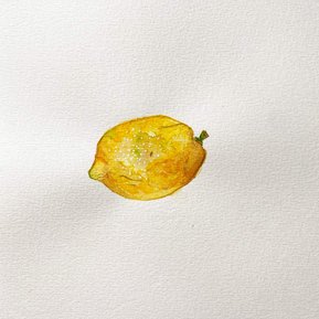 'Limone I' from the Limone collection by Australian Artist Marissa Lico.