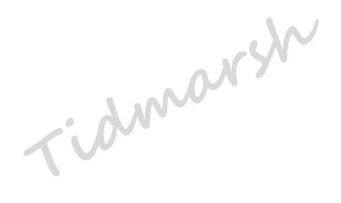 Tidmarsh Estate Agents