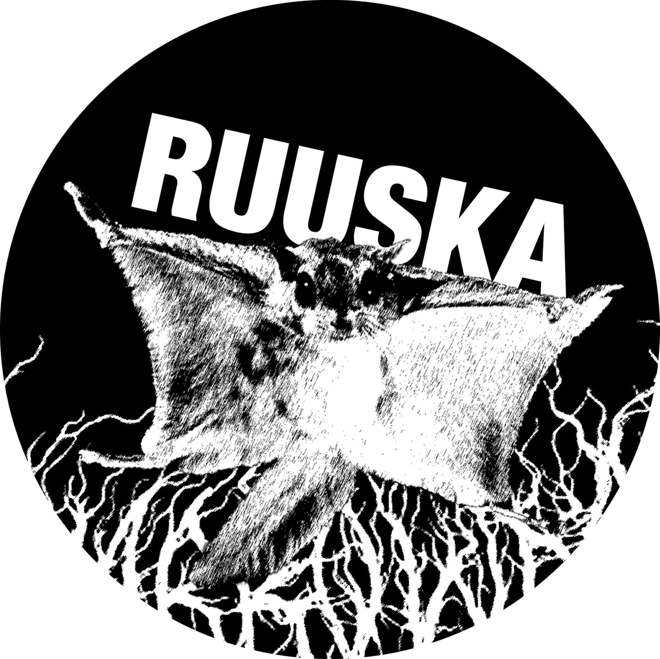 Anssi Ruuska - Valokuvataiteilija