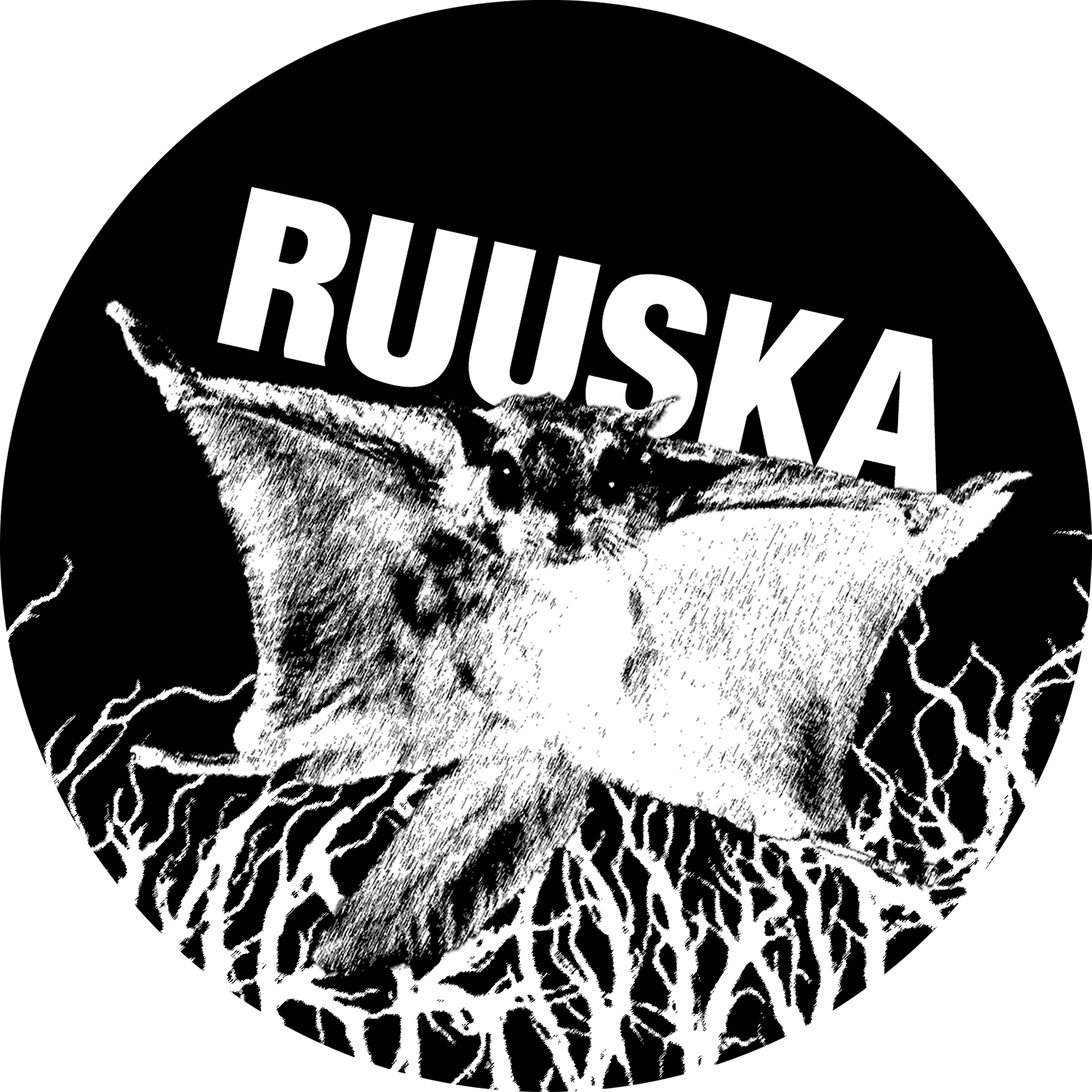 Anssi Ruuska - Valokuvataiteilija