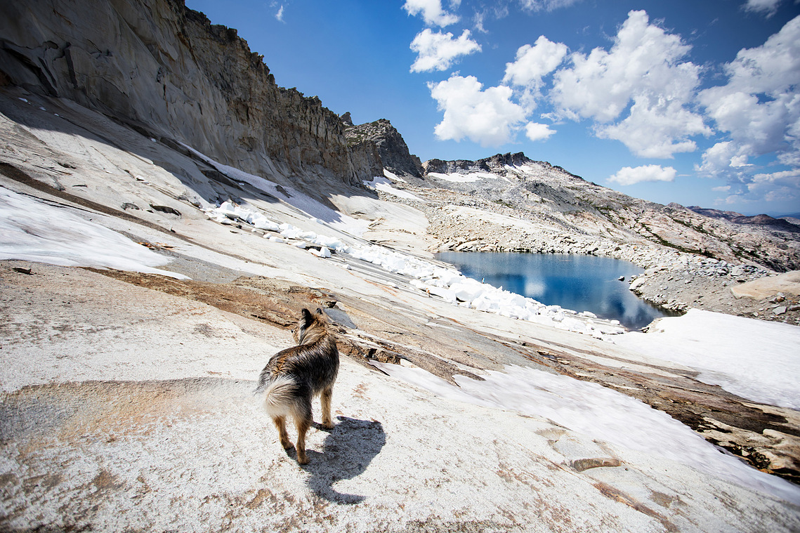 13,000 Feet // Doobie Boy // Desolation Wilderness, South Lake Tahoe, CA