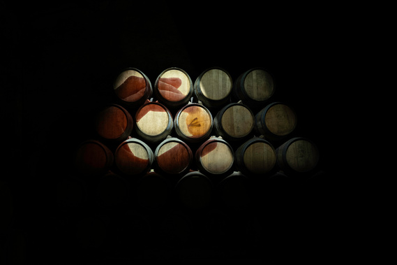Château Cérons Sauternes wine winery bordeaux bodega france vigne vignoble vineyard grape liquoreux automne fall vigneron wine maker main hands water drop tourism tourisme oenotourisme expérience immersive installation projection sound asmr storytelling